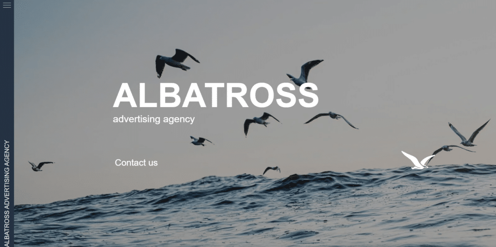 Albatross